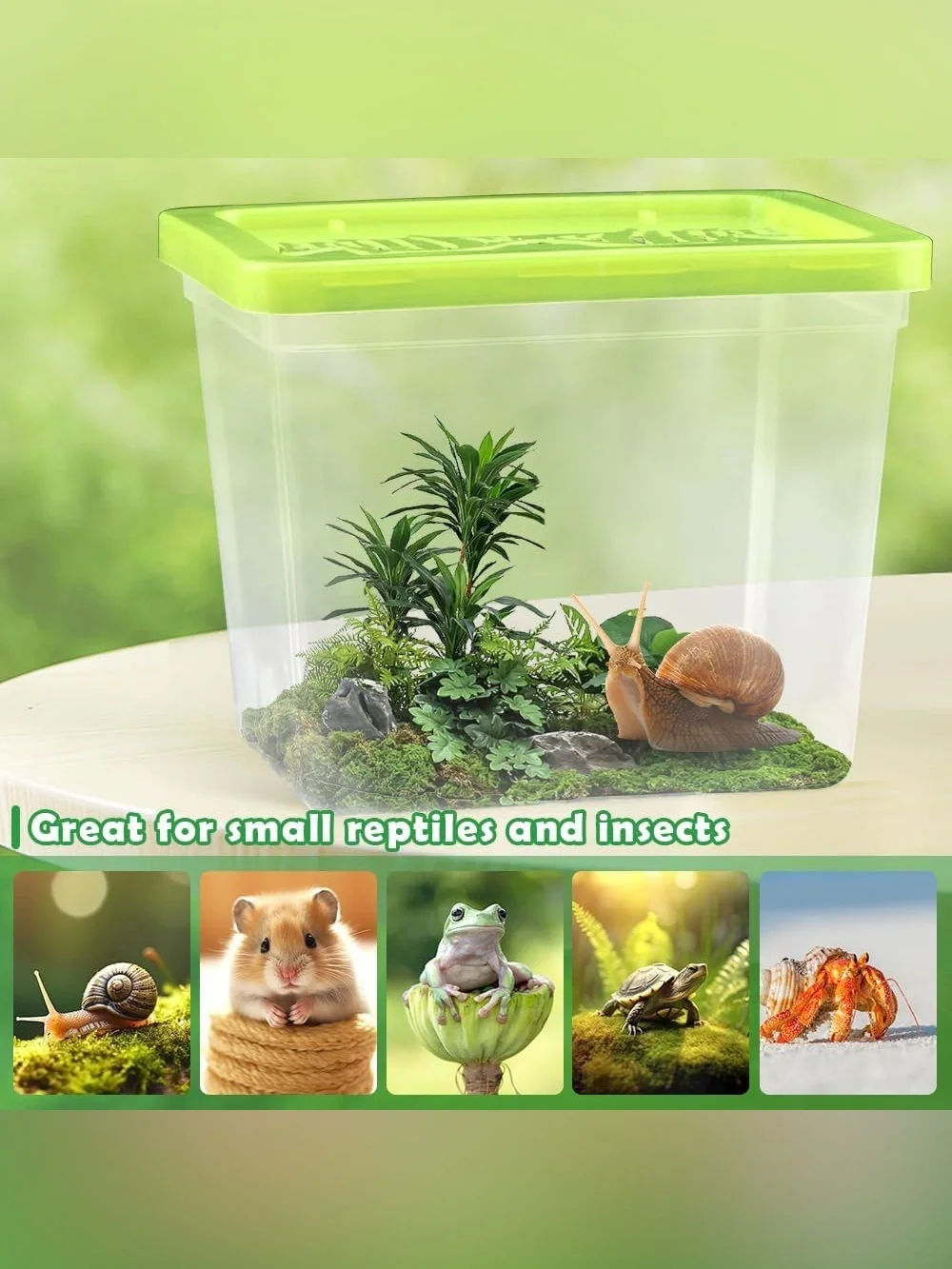 Small Plastic Reptile Carrier
